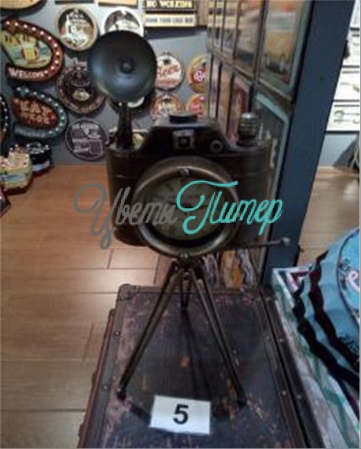 Часы RetroCamera (металл) 23х21х48см