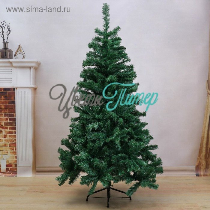 Ель голубая 150 см, d нижнего яруса 85 см, 430 веток 703954