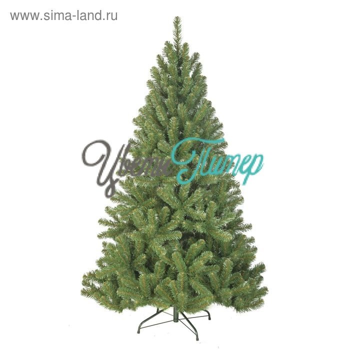Сосна "Звездная" 150 см, d нижнего яруса 100 см, 403 веток 2602494