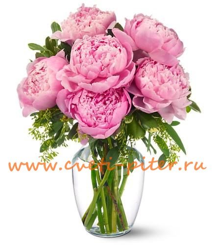 Букет из 9 розовых пионов