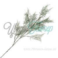 Ветка "Аспарагус" (пластик); 100см